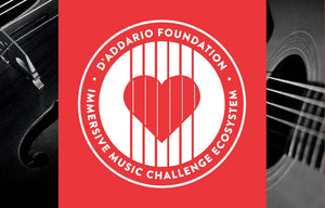 D’Addario Foundation Announces 2026 IMC Ecosystem Members